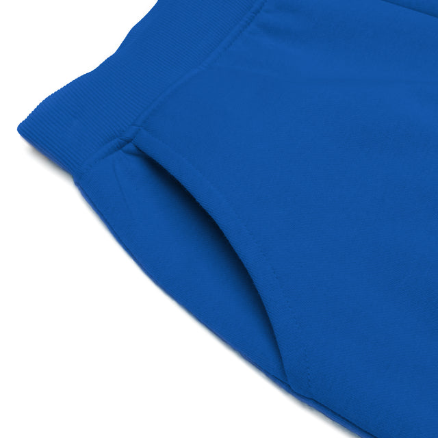 HERO-5020R Unisex Joggers - Royal Blue (Relaxed Fit)